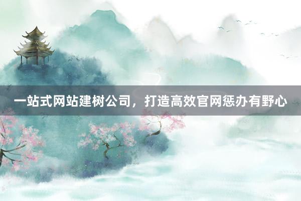 一站式网站建树公司，打造高效官网惩办有野心
