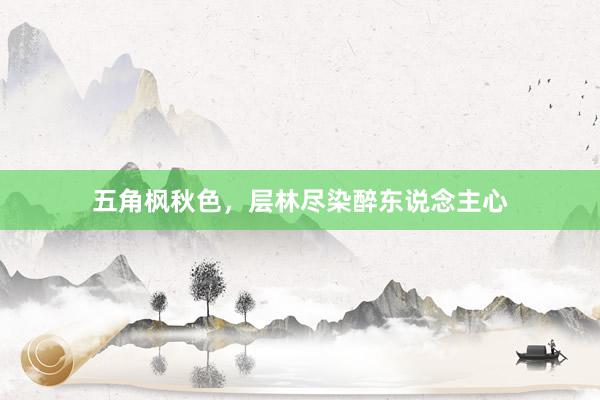 五角枫秋色，层林尽染醉东说念主心
